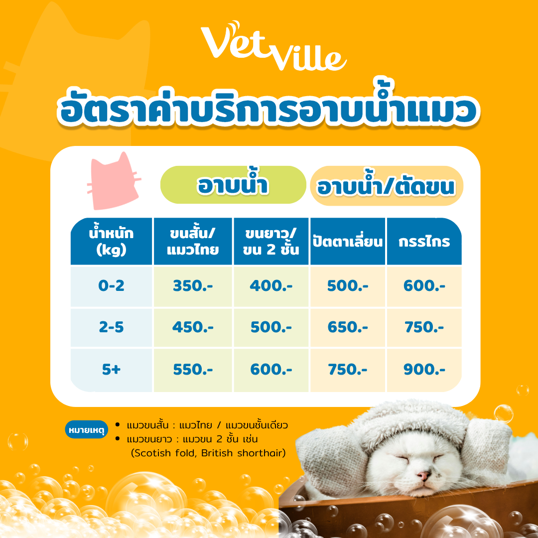 ราคาอาบน้ำตัดขนแมว โรงพยาบาลสัตว์เว็ทวิลล์