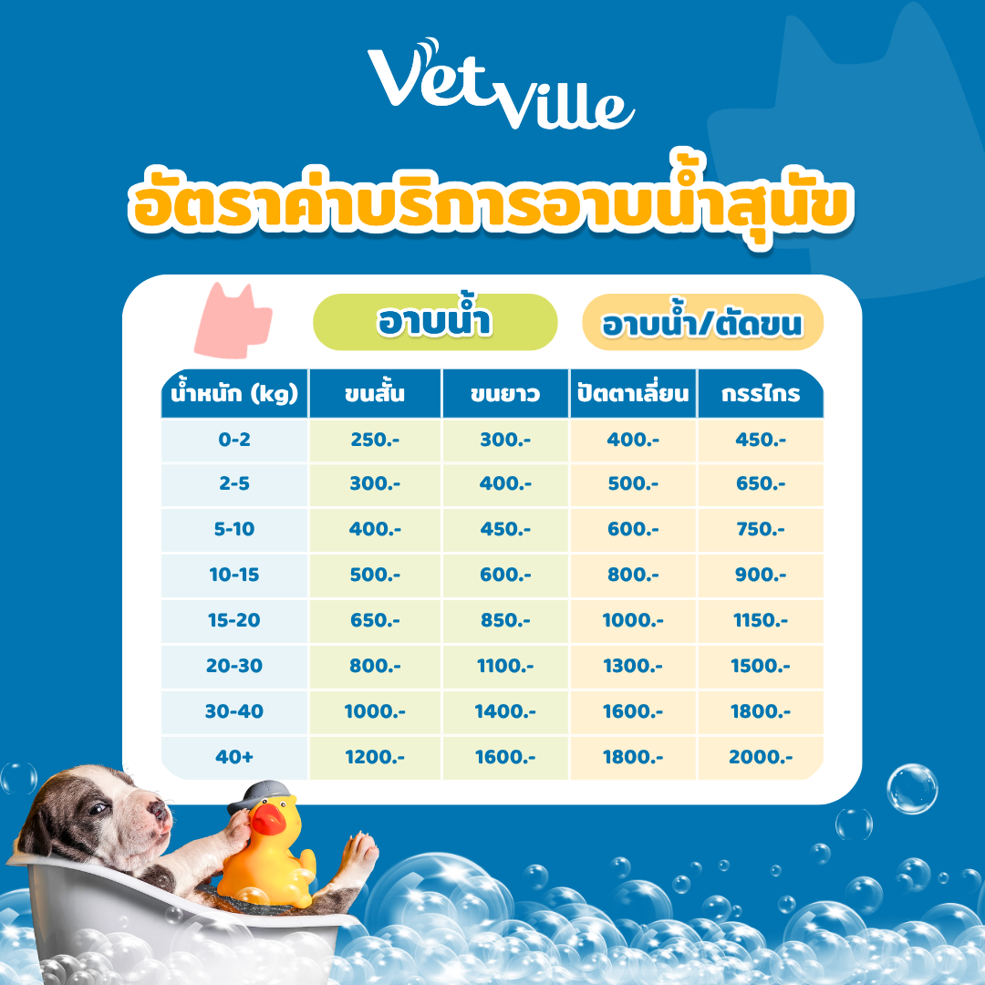 ราคาอาบน้ำตัดขนสุนัข โรงพยาบาลสัตว์เว็ทวิลล์