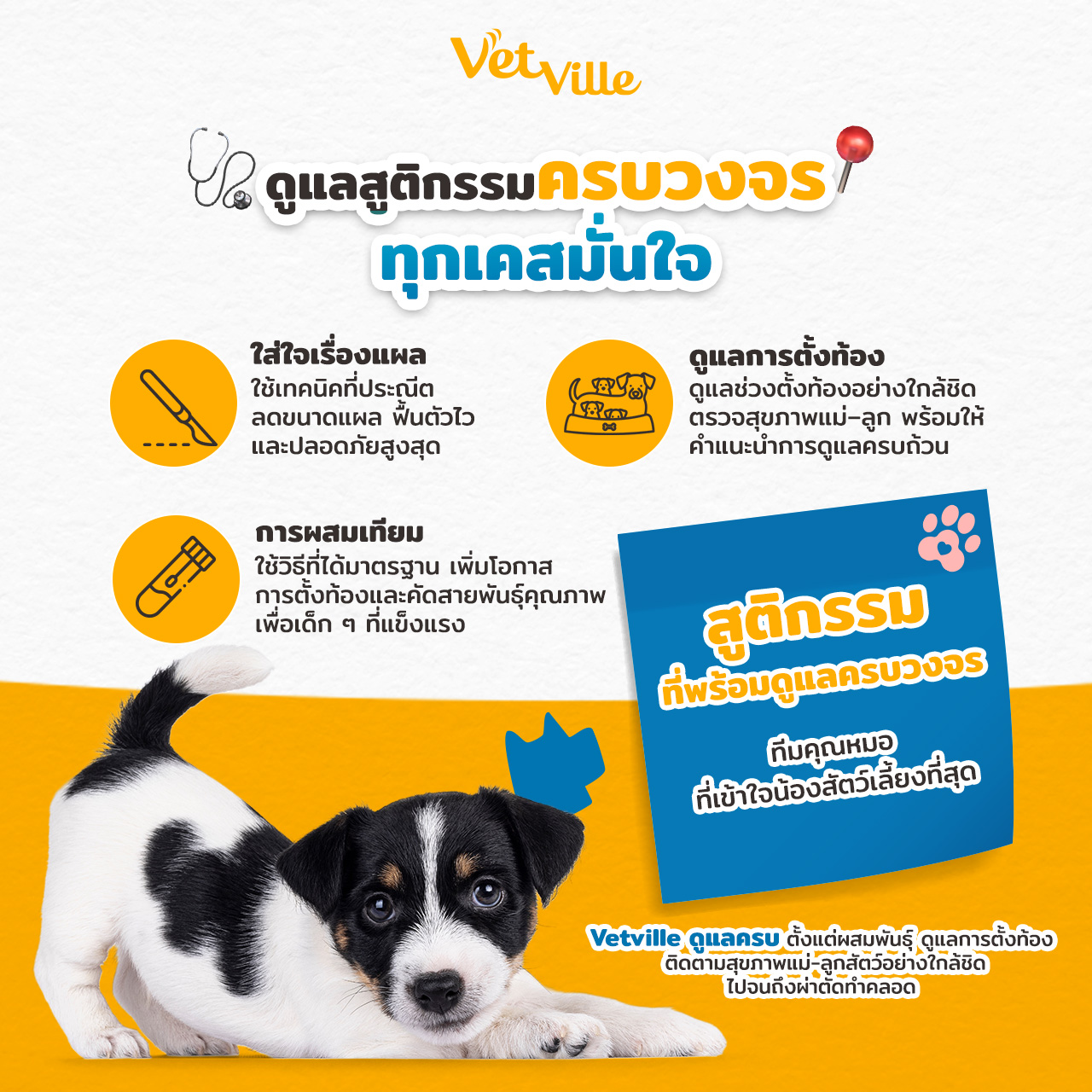 ภาพอินโฟกราฟิกบริการดูแลการสืบพันธุ์สัตว์เลี้ยงครบวงจรของ Vetville แสดงการดูแลแผลผ่าตัด การผสมเทียม และการดูแลการตั้งท้อง พร้อมภาพลูกสุนัขนอนบนพื้นสีเหลือง สื่อถึงความใส่ใจ ปลอดภัย