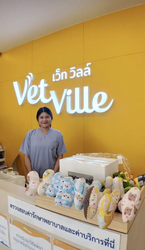 โรงพยาบาลสัตว์เว็ทวิลล์  สาขารังสิต