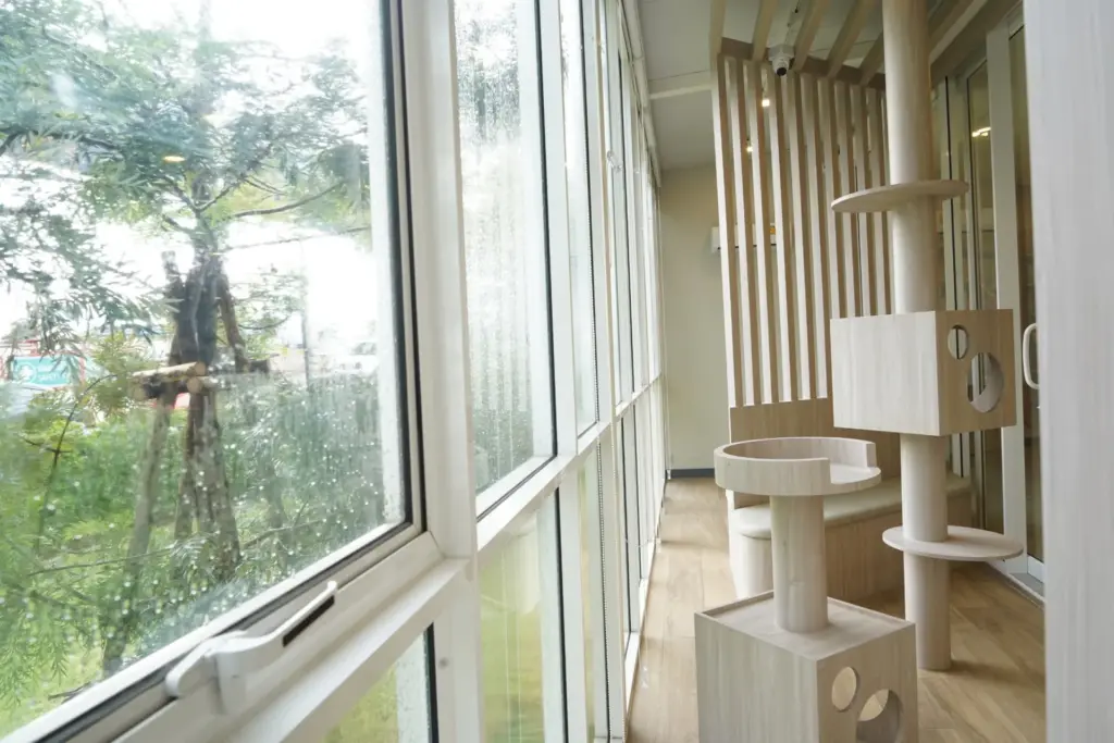 โรงพยาบาลสัตว์เว็ทวิลล์  สาขาราชพฤกษ์