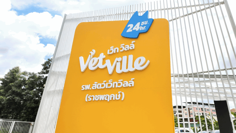 โรงพยาบาลสัตว์เว็ทวิลล์ ราชพฤกษ์ Vetville Pet Hospital Ratchaphruek