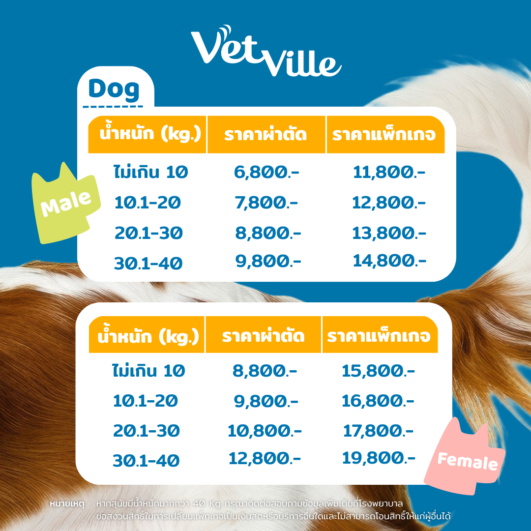 ราคาโปรแกรมทำหมันที่โรงพยาบาลสัตว์เว็ทวิลล์