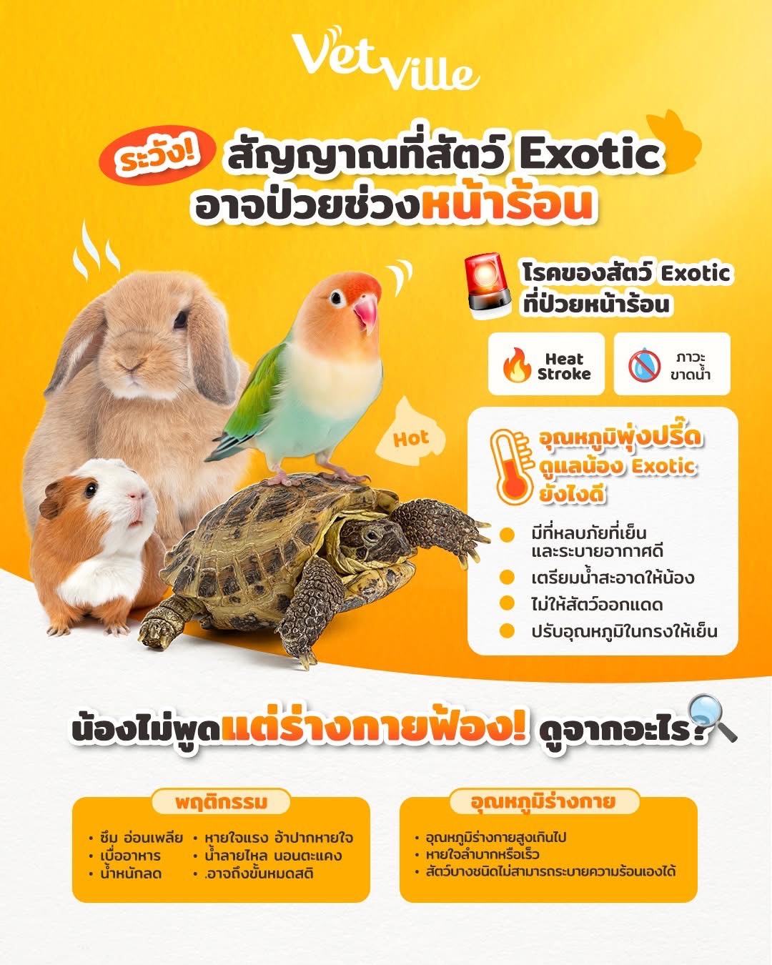 ระวัง สัญญาณที่สัตว์ Exotic อาจป่วยช่วงหน้าร้อน