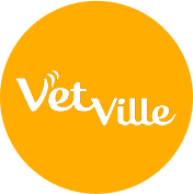 vetville placeholder vet
