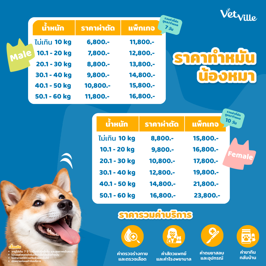 ราคาทำหมันน้องหมา โรงพยาบาลสัตว์เว็ทวิลล์