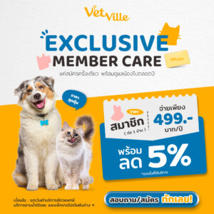 สมัครสมาชิกโรงพยาลาลสัตว์เว็ทวิลล์ลด 5%