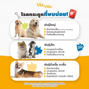 โรคกระดูกที่พบบ่อยในสุนัข