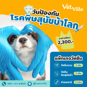 วันป้องกันโรคพิษสุนัขบ้าโลก