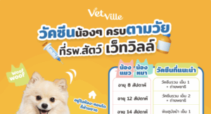 วัคซีนตามวัยของสัตว์เลี้ยง ที่โรงพยาบาลสัตว์เว็ทวิลล์แนะนำ