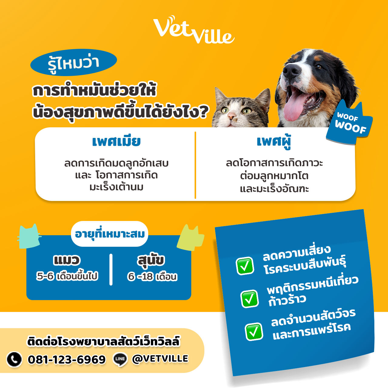 ควรทำหมันสุนัขและแมวที่อายุเท่าไหร่