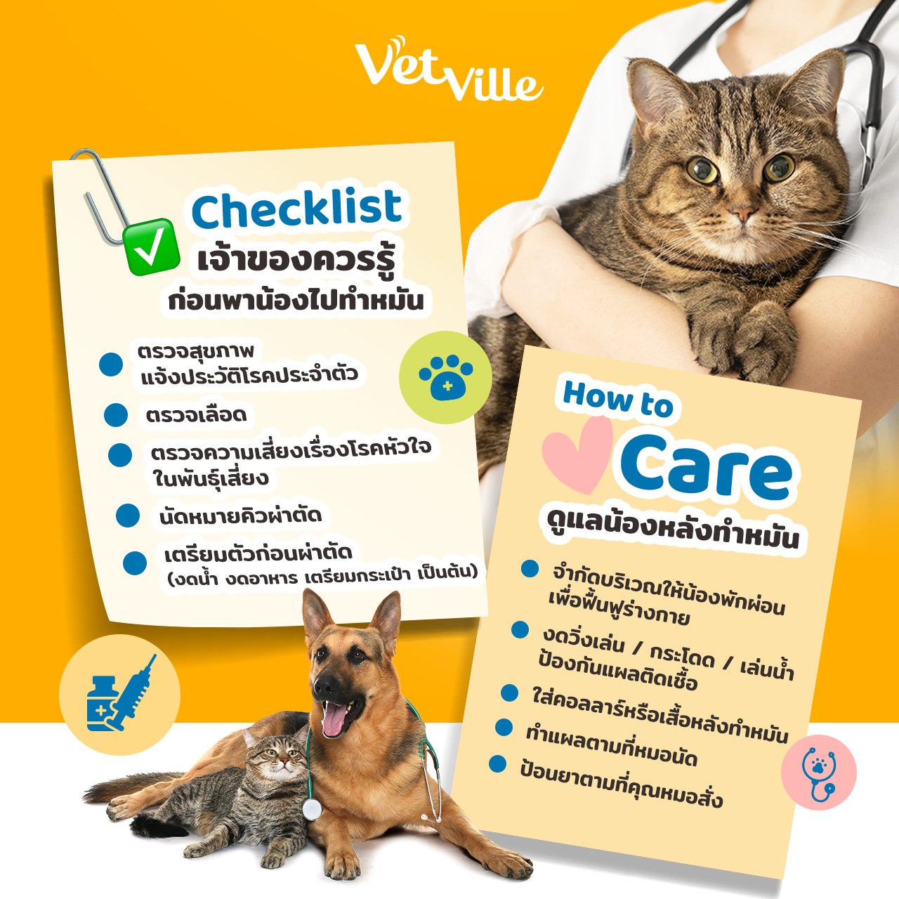 เตรียมตัวก่อนทำหมันสัตว์เลี้ยง และวิธีการดูแลหลังทำหมันน้องหมาน้องแมว