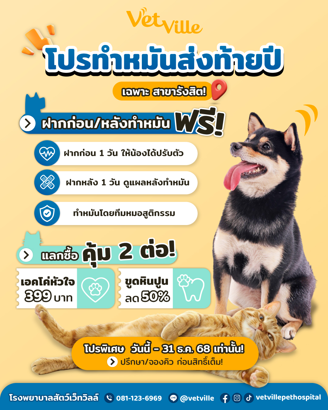 Promotion ทำหมัน ที่โรงพยาบาลสัตว์เว็ทวิลล์ สาขารังสิต
