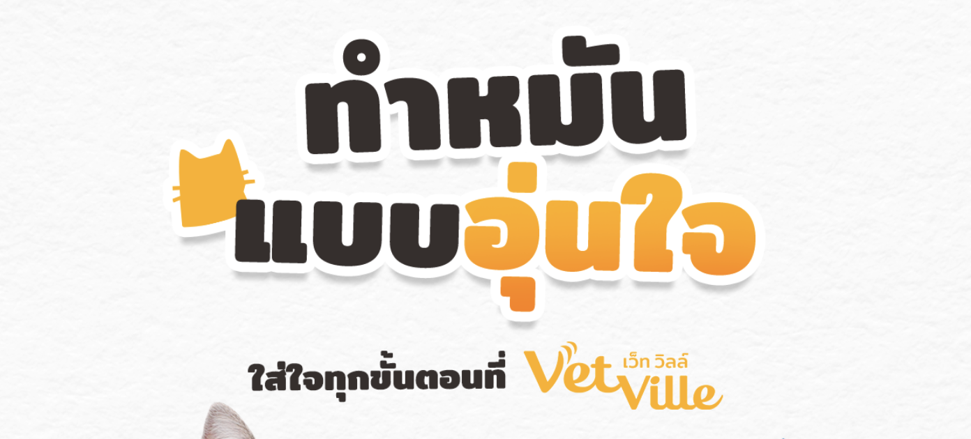 ทำหมันแบบอุ่นใจ ใส่ใจทุกขั้นตอนที่โรงพยาบาลสัตว์เว็ทวิลล์