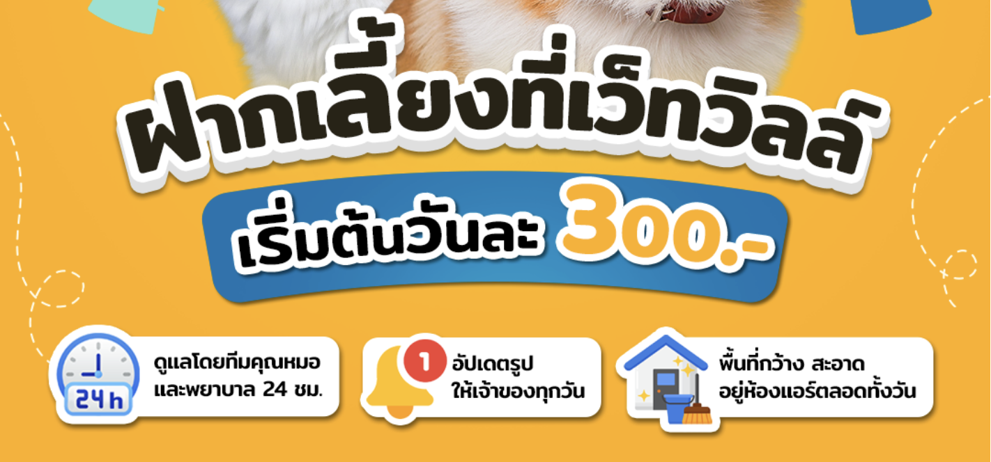 ฝากเลี้ยงที่โรงพยาบาลสัตว์เว็ทวิลล์ เริ่มต้นแค่วันละ 300 บาท