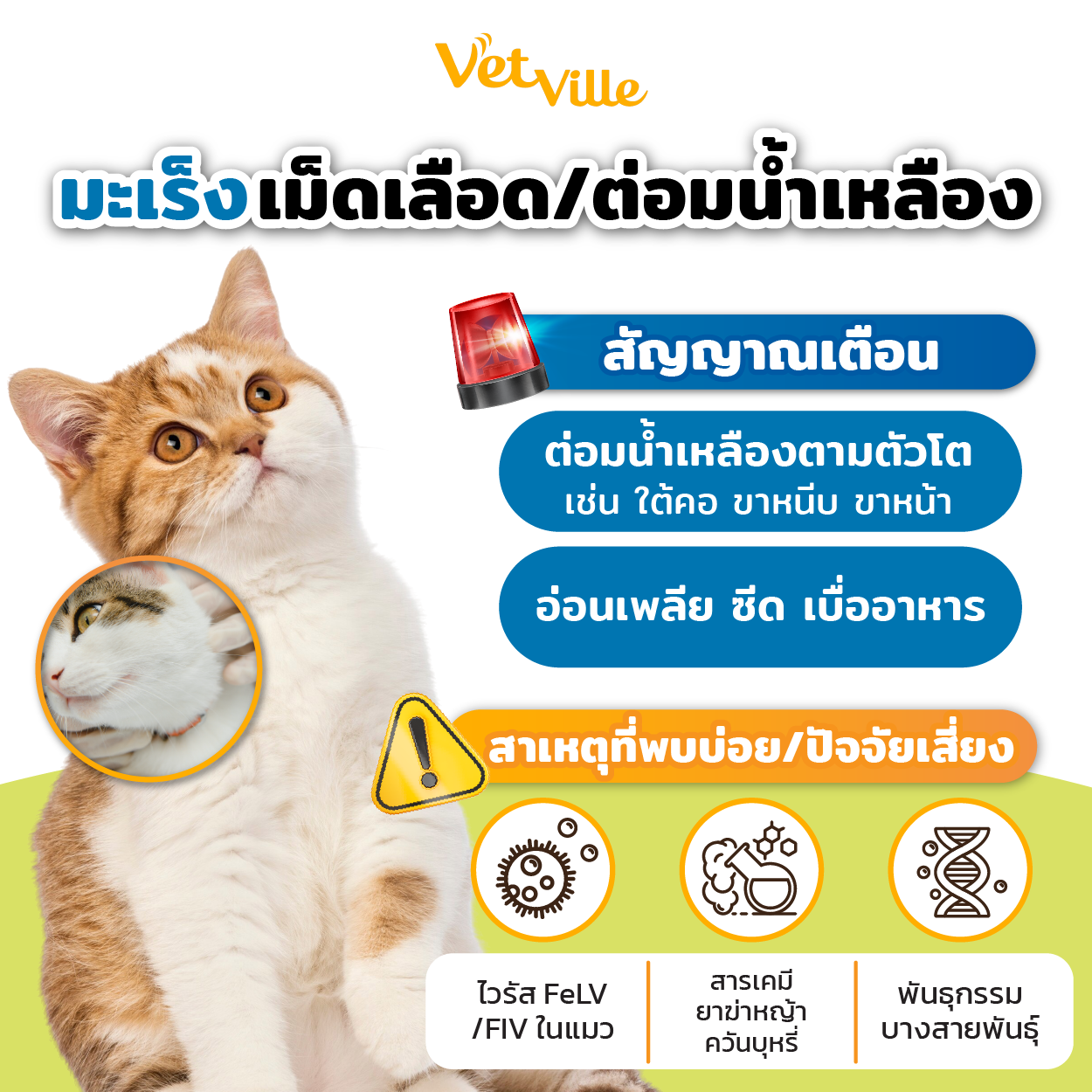 มะเร็งเม็ดเลือด/ต่อมน้ำเหลือง ในสัตว์เลี้ยง