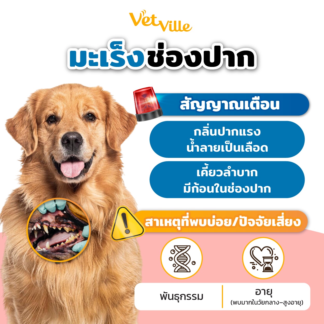 มะเร็งช่องปากในสัตว์เลี้ยง