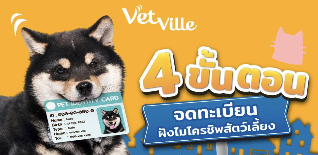 4 ขั้นตอน จดทะเบียนฝังไมโครชิพสัตว์เลี้ยง