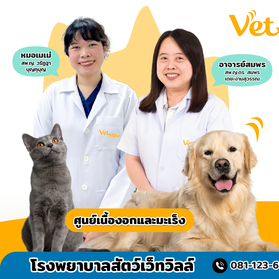 หมอศูนย์มะเร็ง