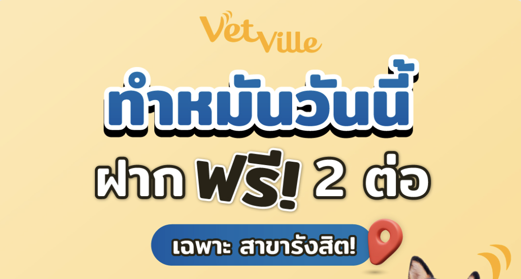 ทำหมันวันนี้ ฟรี 2 ต่อ