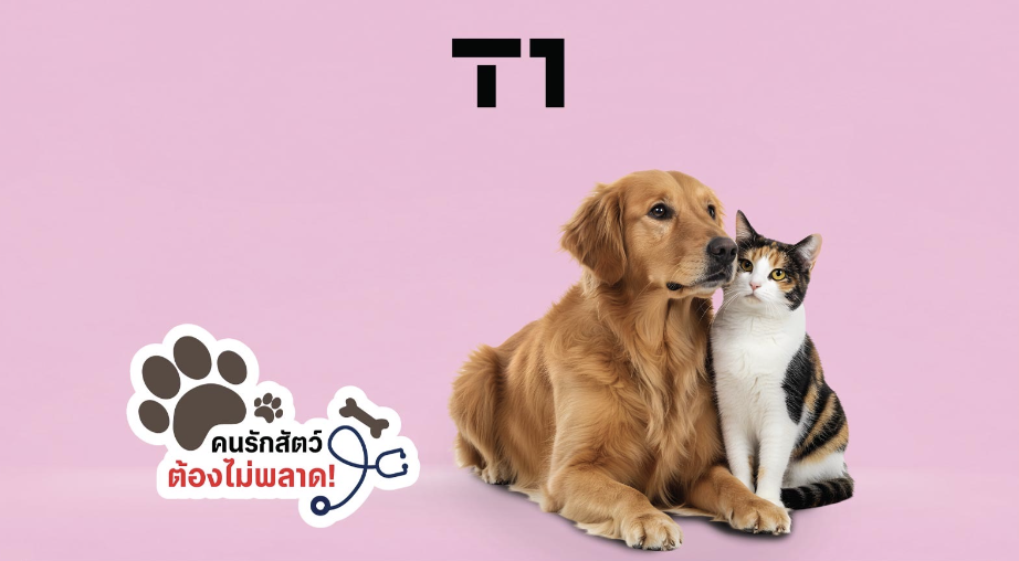 โปรโมชันบัตรเครดิต T1
