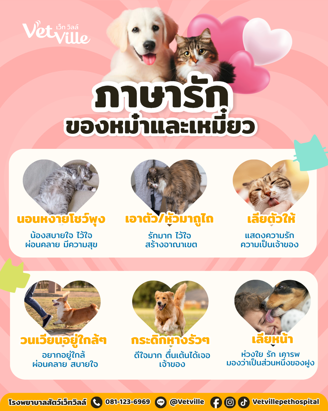 ภาษารักของน้องหมาน้องแมว วันวาเลนไทน์