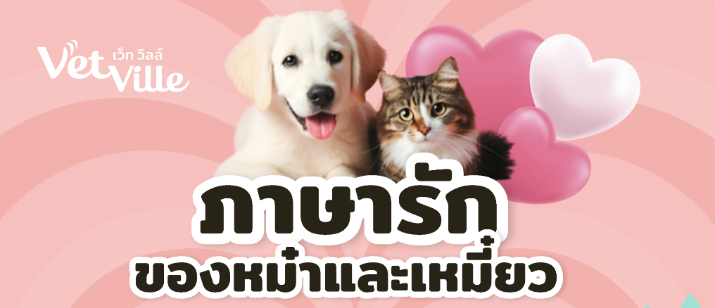 ภาษารักของน้องหมาน้องแมว