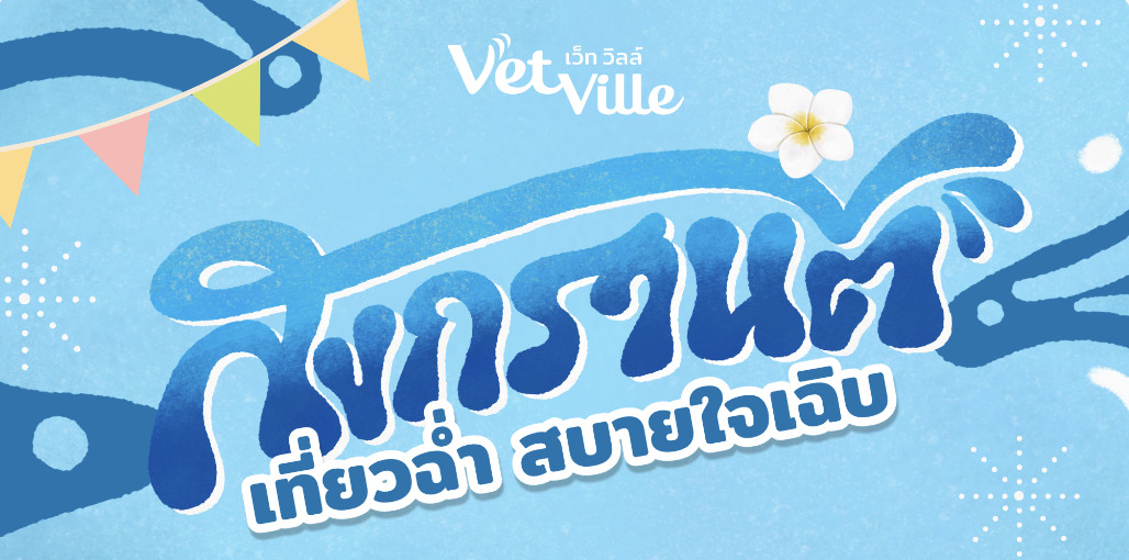 ฝากเลี้ยงที่เว็ทวิลล์ เริ่มต้นวันละ 300.-