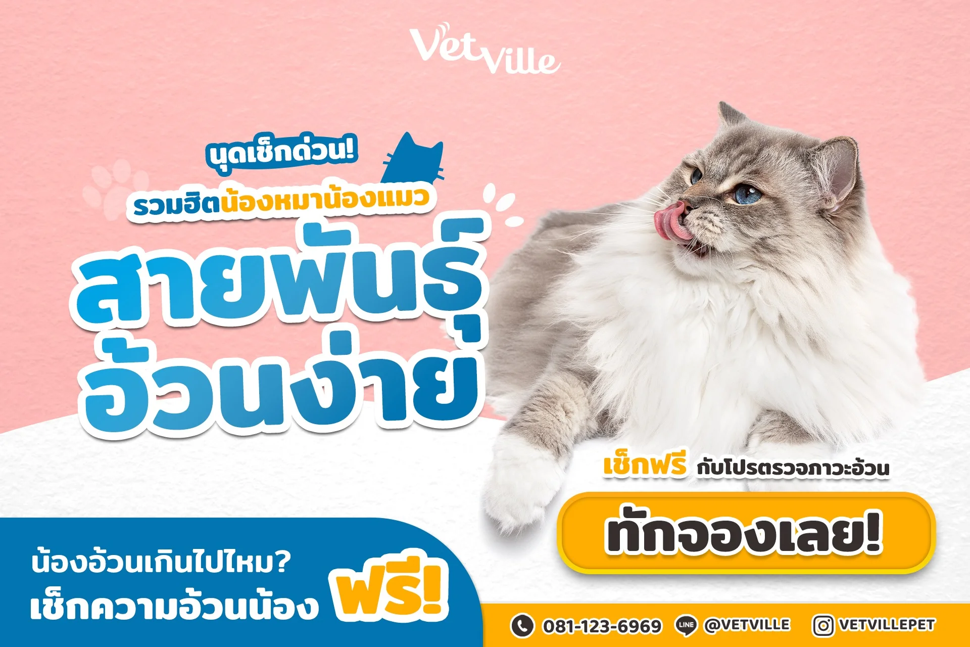 น้องหมาแมว สายพันธุ์อ้วนง่าย