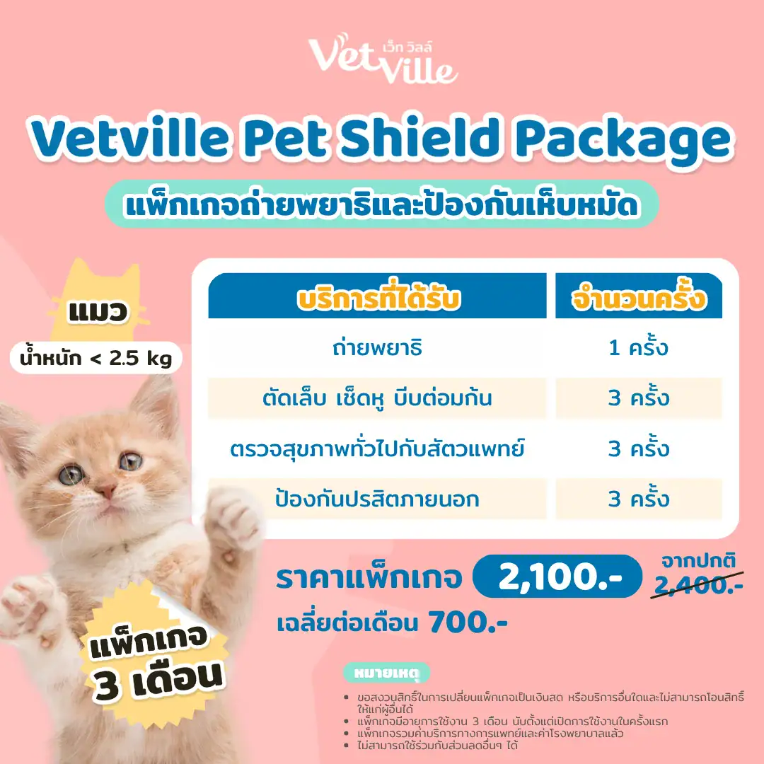 แพ็กเกจถ่ายพยาธิและป้องกันเห็บหมัดสำหรับสัตว์