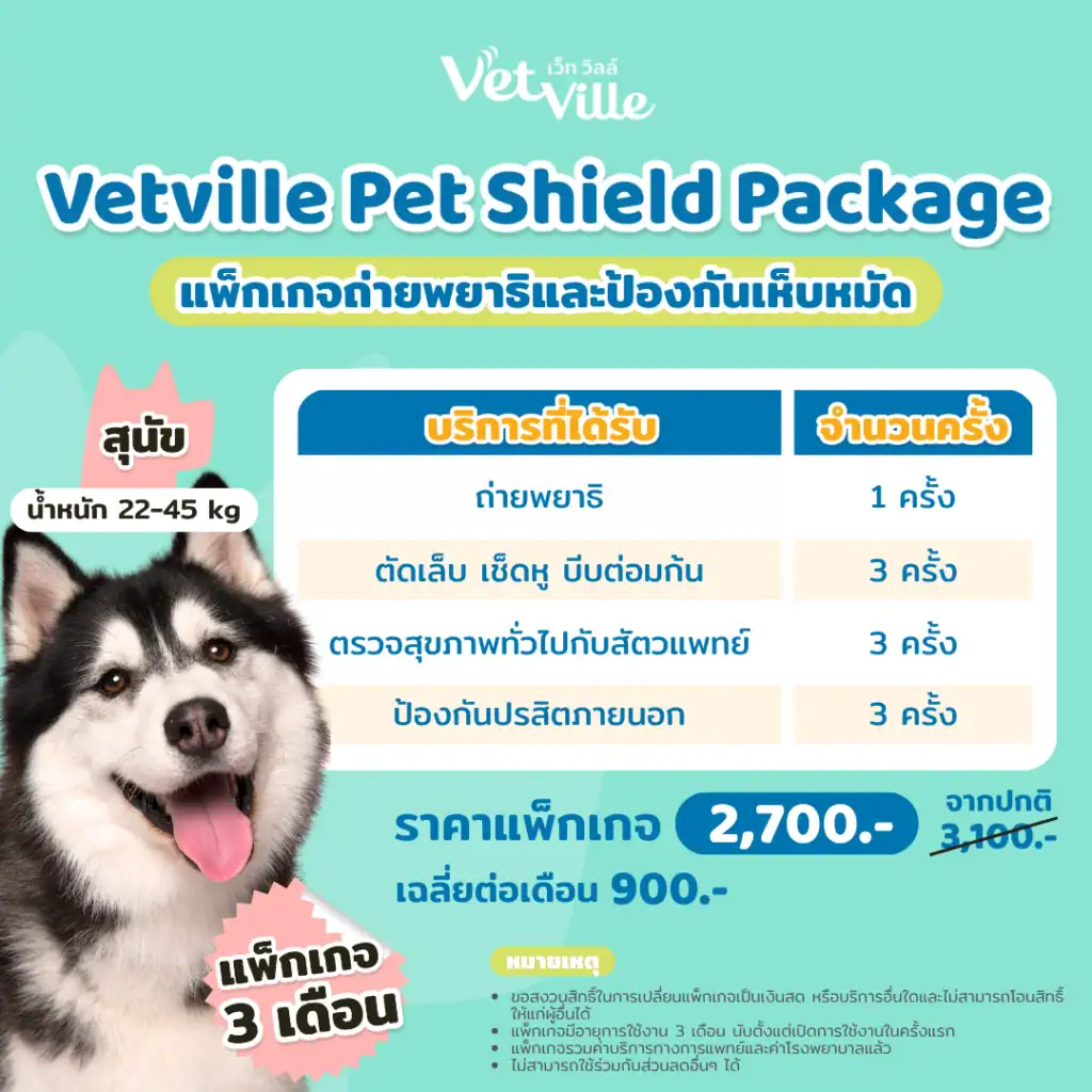 แพ็กเกจถ่ายพยาธิและป้องกันเห็บหมัดสำหรับสุนัข
