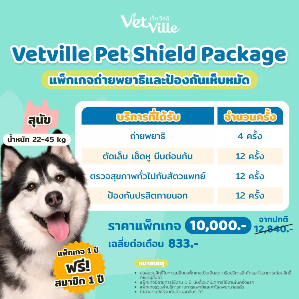 แพ็กเกจถ่ายพยาธิและป้องกันเห็บหมัดสำหรับสุนัข