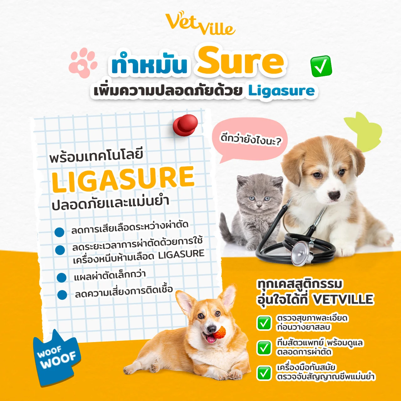 ทำหมันสำหรับสัตว์เลี้ยง