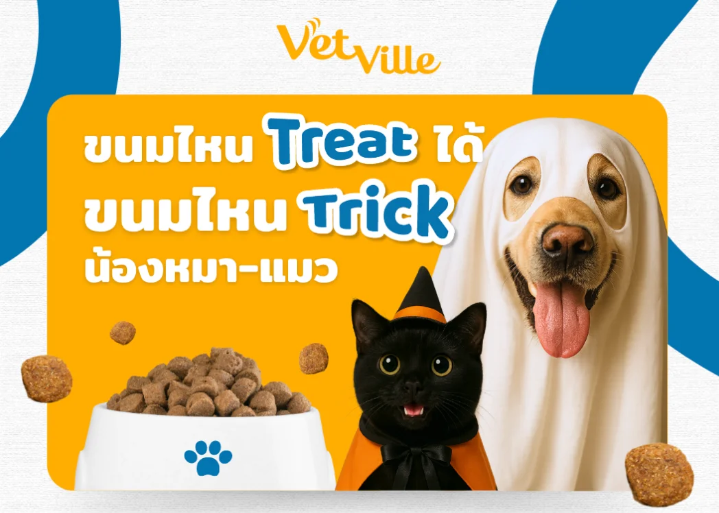 โปรฮาโลวีน