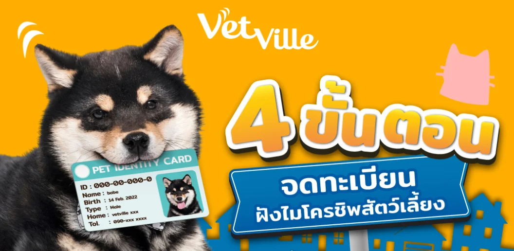 4 ขั้นตอนในการขึ้นทะเบียนสัตว์เลี้ยง
