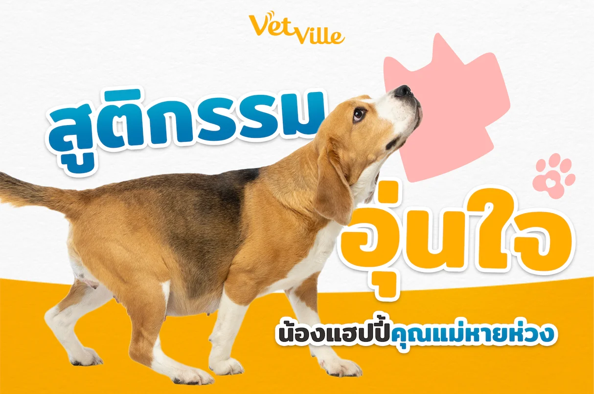 สูติกรรมอุ่นใจ