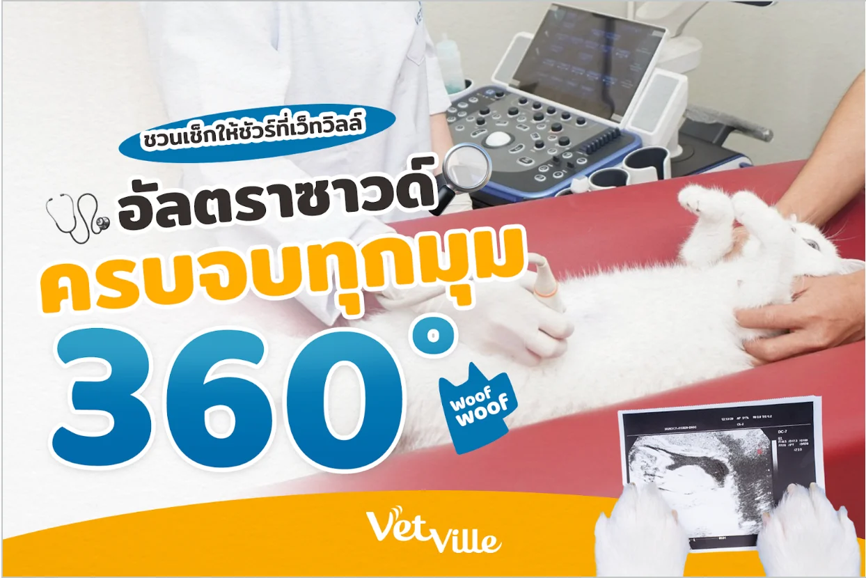 อัลตราซาวด์ (Ultrasound) สแกนครบจบทุกมุม