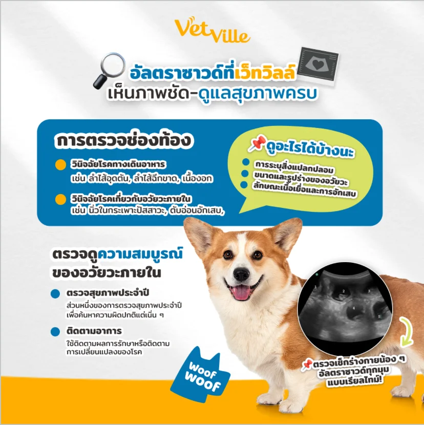 อัลตราซาวด์ (Ultrasound) สแกนครบจบทุกมุม
