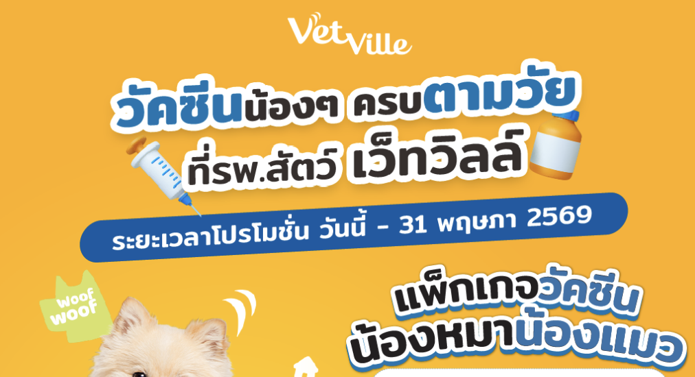 โปสเตอร์โปรโมชันแพ็กเกจวัคซีนน้องหมาน้องแมวของ Vetville ราคา 2,300 บาท พร้อมคูปองส่วนลดยาป้องกันเห็บหมัด 200 บาท ถึง 31 พฤษภาคม 2569