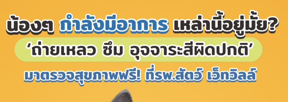 โปสเตอร์โปรโมชันตรวจสุขภาพฟรีสำหรับสัตว์เลี้ยงที่มีอาการถ่ายเหลว ซึม หรืออุจจาระสีผิดปกติ ที่ Vetville สาขาบรมราชชนนี พร้อมสิทธิ์ตรวจเบื้องต้น ตรวจอุจจาระ และโปร Royal Canin ถึง 31 พฤษภาคม 2569