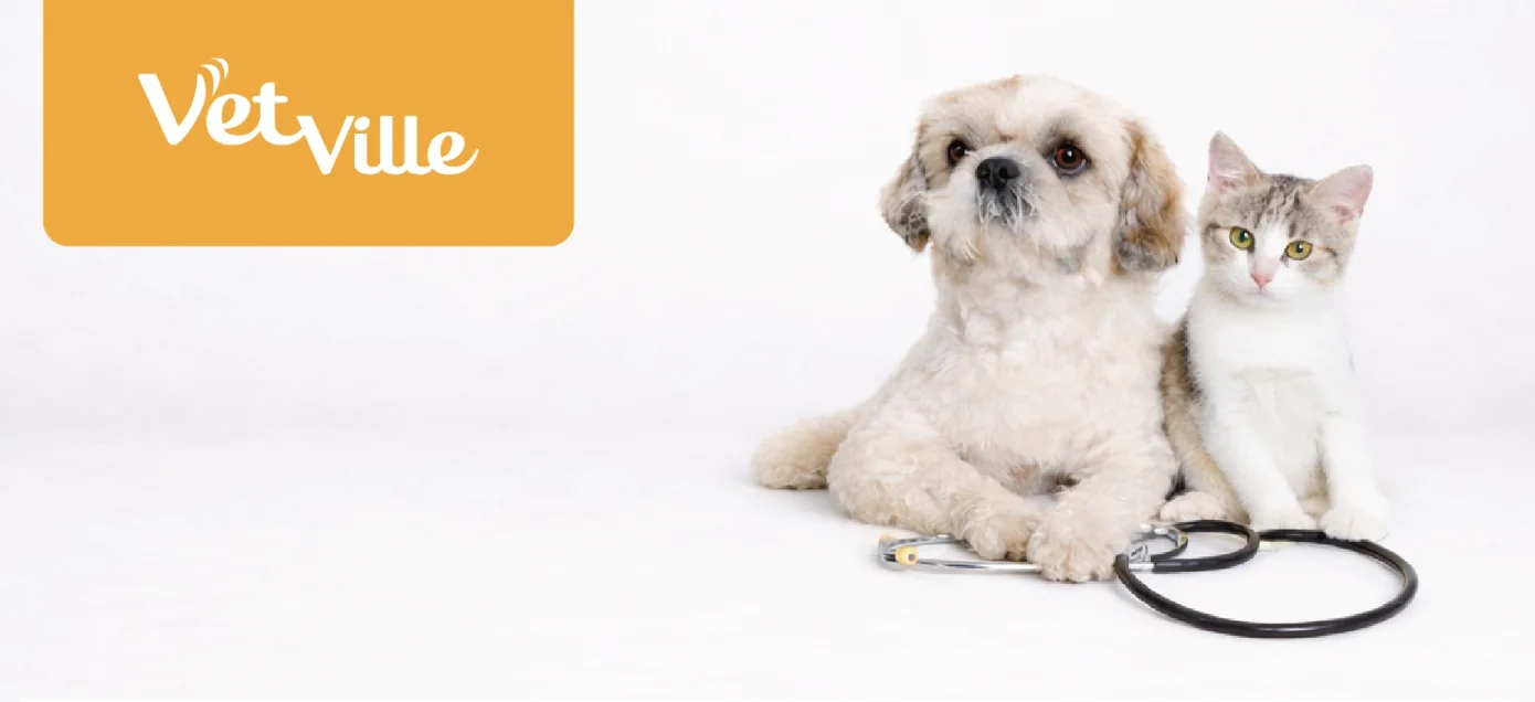 ครบคุ้ม ดีลปัง คุ้มยาวทั้งปี! สำหรับผู้ถือบัตรเครดิต ttb