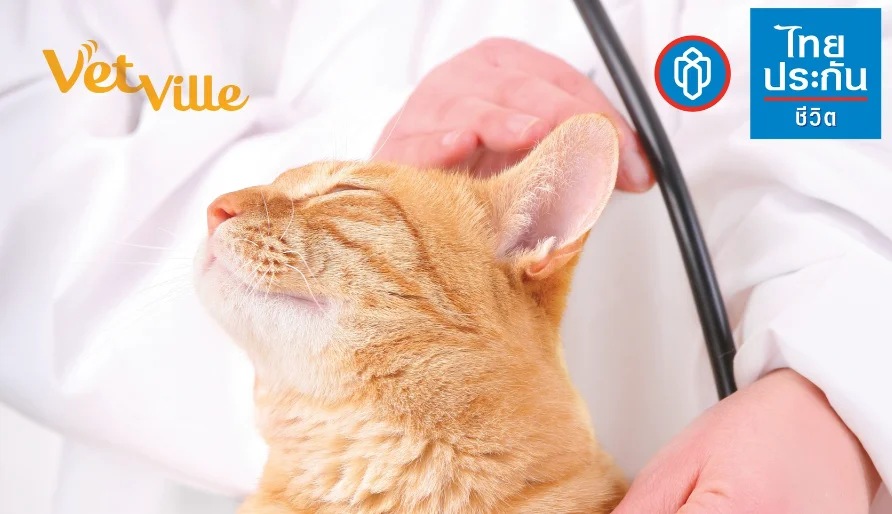 ไทยประกันชีวิต Thailife Privilege