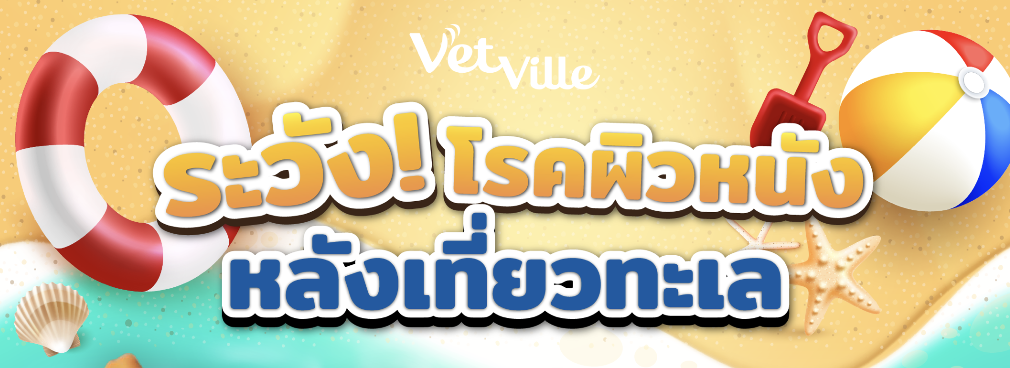 เตรียมพร้อม พาน้องเที่ยวทะเล