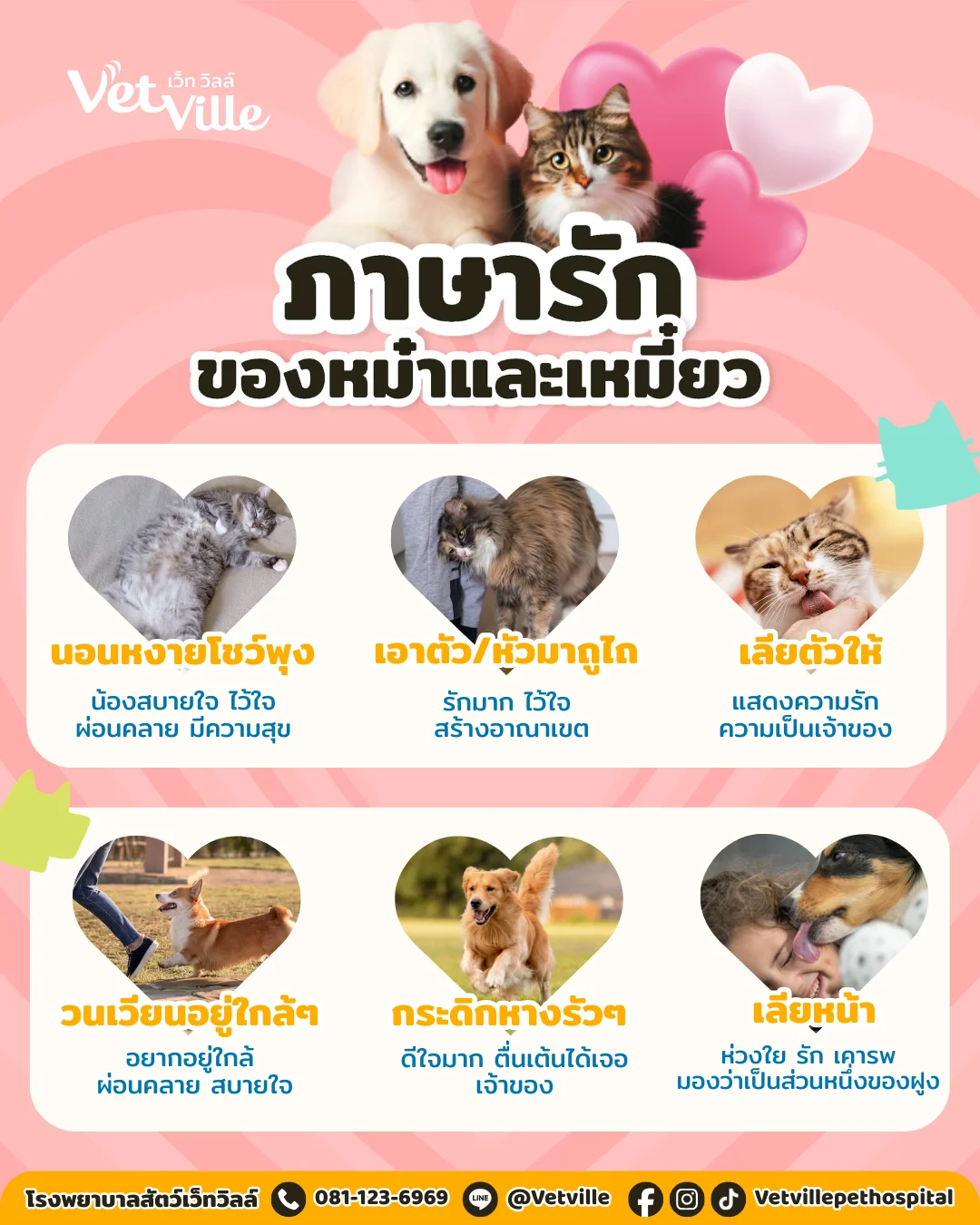 ภาษารักของน้องหมาแมว