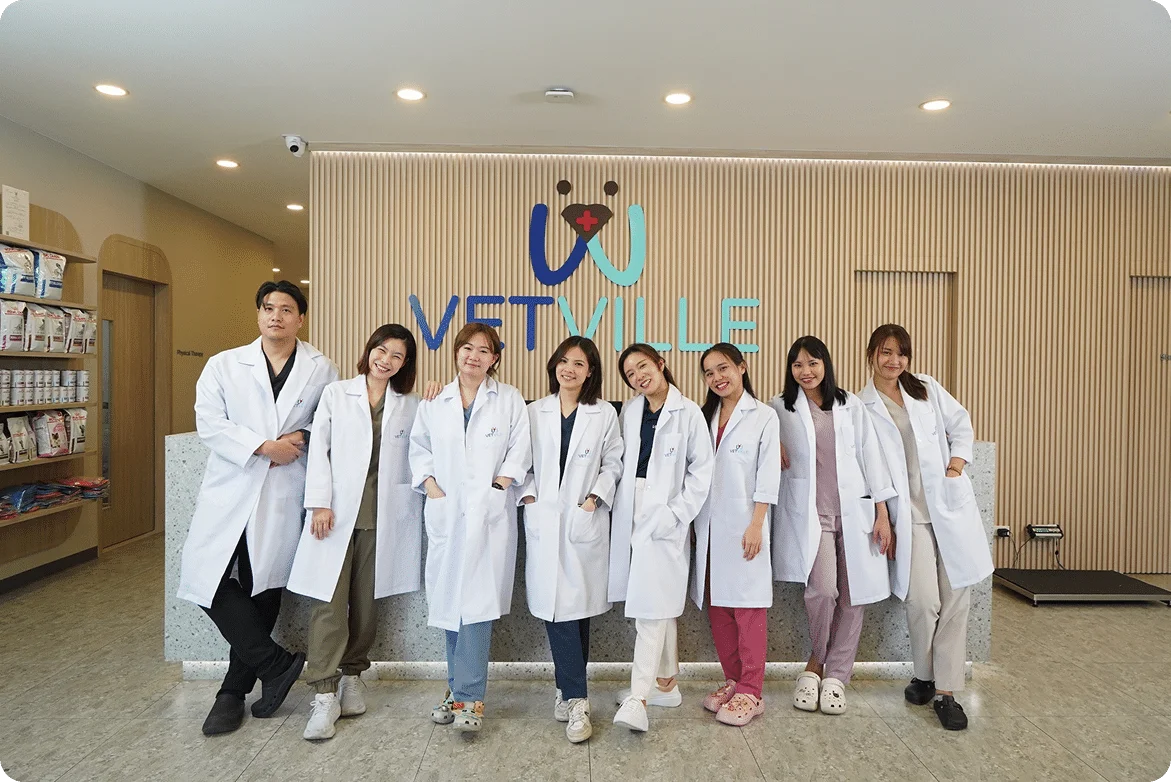 ทีมแพทย์ VetVillePet