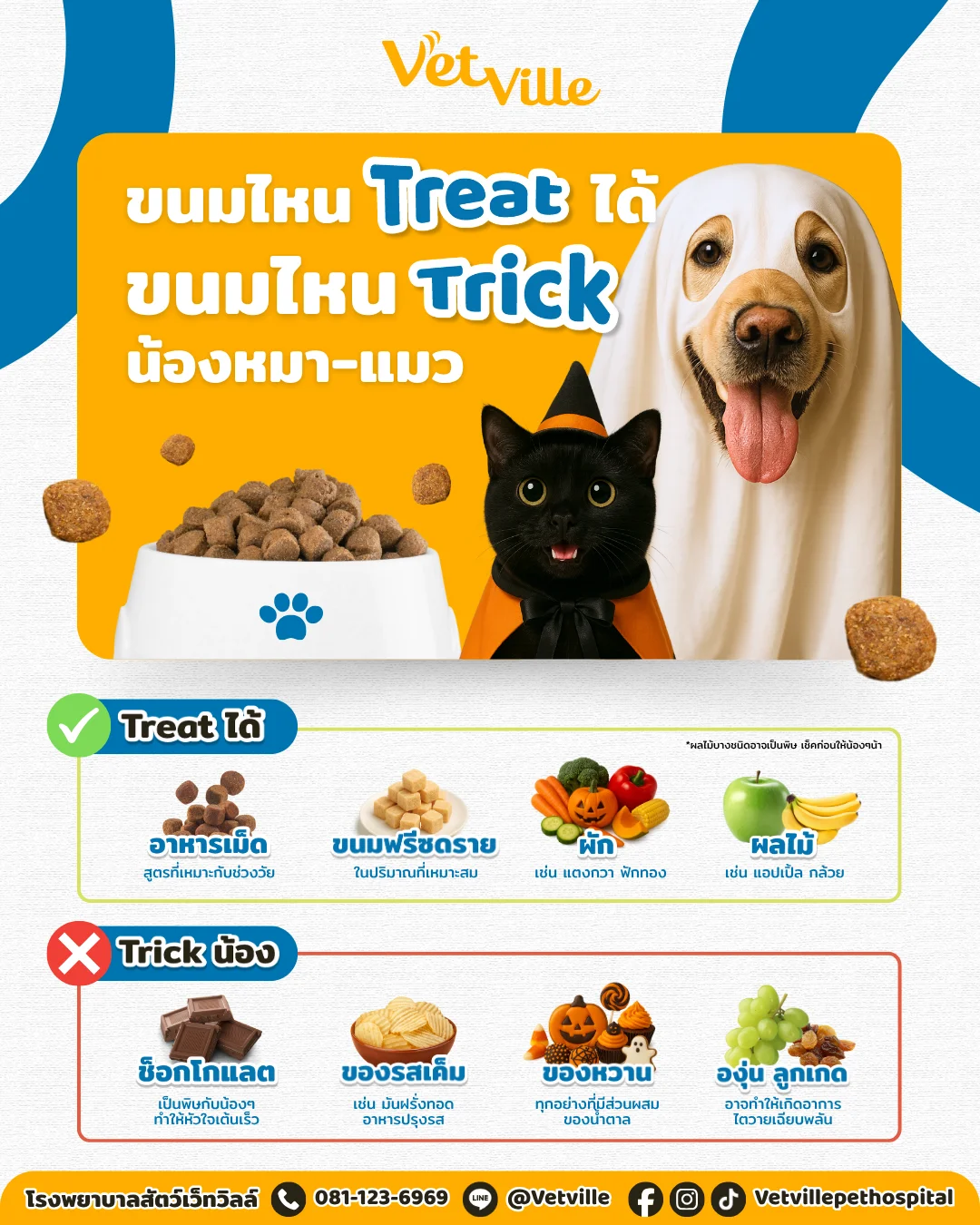 ขนมที่น้องหมา แมว ควร ไม่ควรกิน