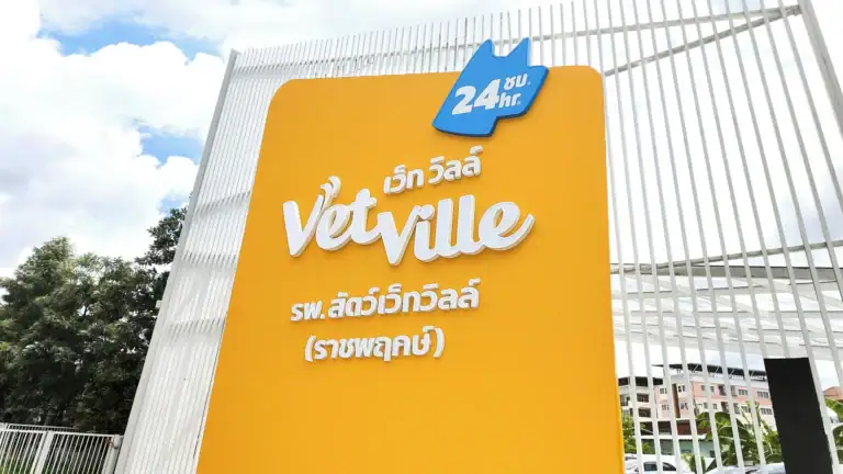 โรงพยาบาลสัตว์เว็ทวิลล์ สาขาราชพฤกษ์