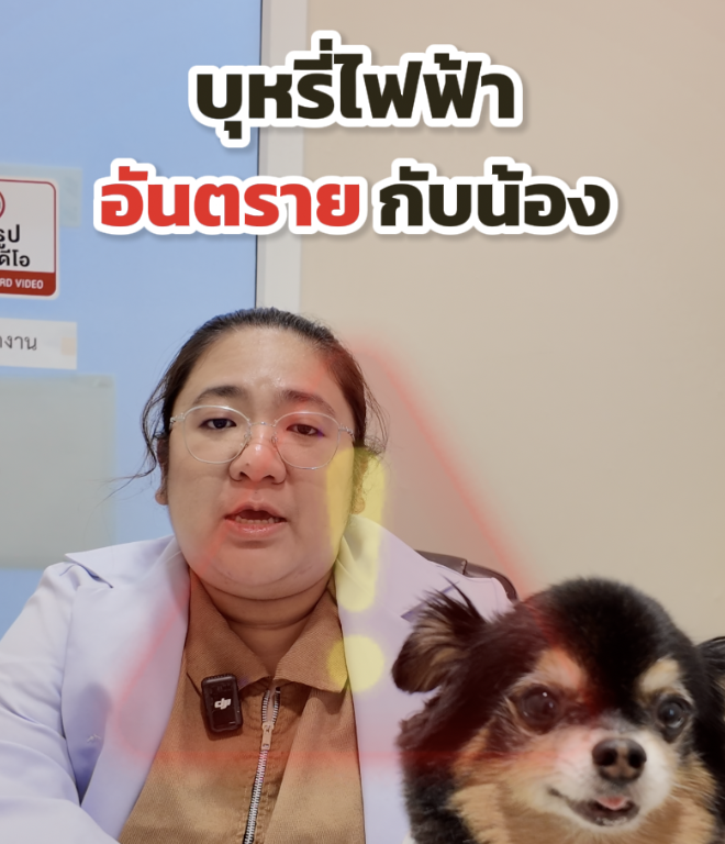 บุหรี่ไฟฟ้าอันตรายกับน้องสัตว์เลี้ยง
