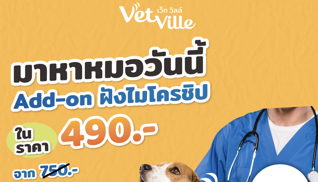 โปรโมชัน Vetville สำหรับลูกค้าที่พาสุนัขและแมวมาหาหมอวันนี้ สามารถ Add-on ฝังไมโครชิพได้ในราคา 490 บาท จากปกติ 750 บาท พร้อมข้อความ “ฝังก่อน อุ่นใจก่อน” ระบุประโยชน์ เช่น ข้อบังคับ กทม. มีผล 1 ม.ค. 70, ออกใบรับรองให้พร้อมใช้ยื่น และระบุตัวตนได้เมื่อพลัดหลง ภาพประกอบเป็นสุนัขกำลังรับการฝังไมโครชิพโดยสัตวแพทย์ พร้อมช่องทางติดต่อ Vetville โทร 081-123-6969 และ LINE @Vetville.