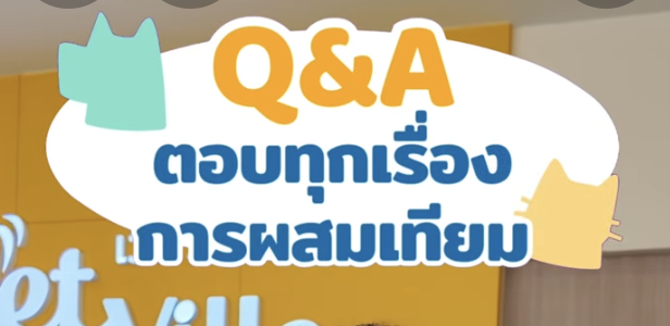 Q&A ครบเครื่องเรื่องผสมเทียมกับโรงพยาบาลสัตว์เว็ทวิลล์